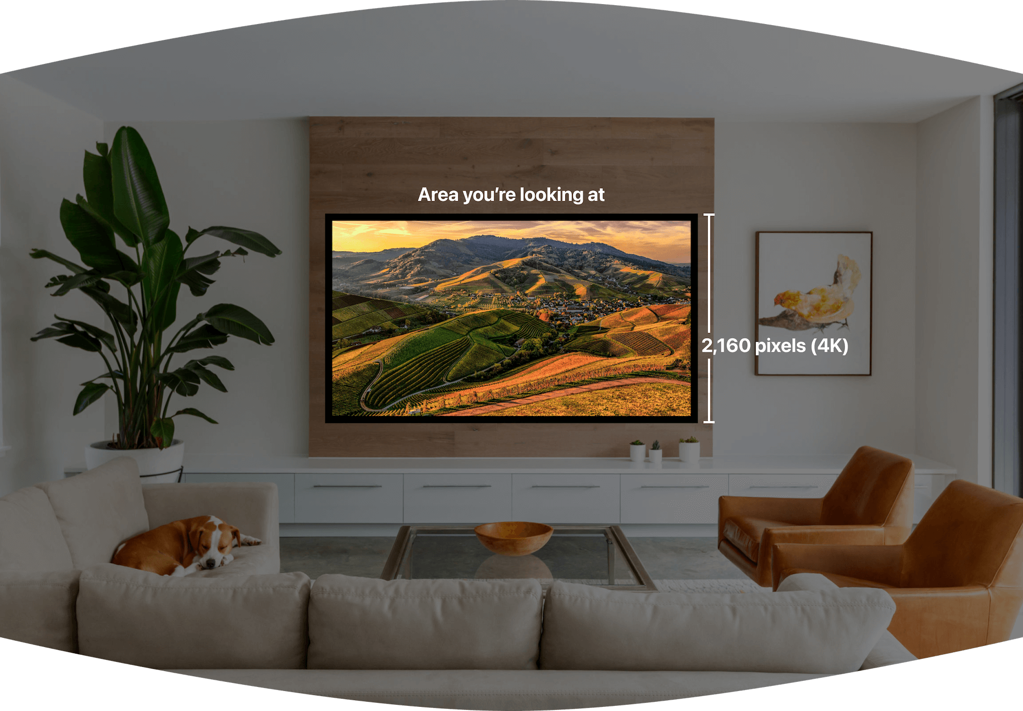 A TV in a living room in the center of your vision, labeled as 2160 pixels in height.