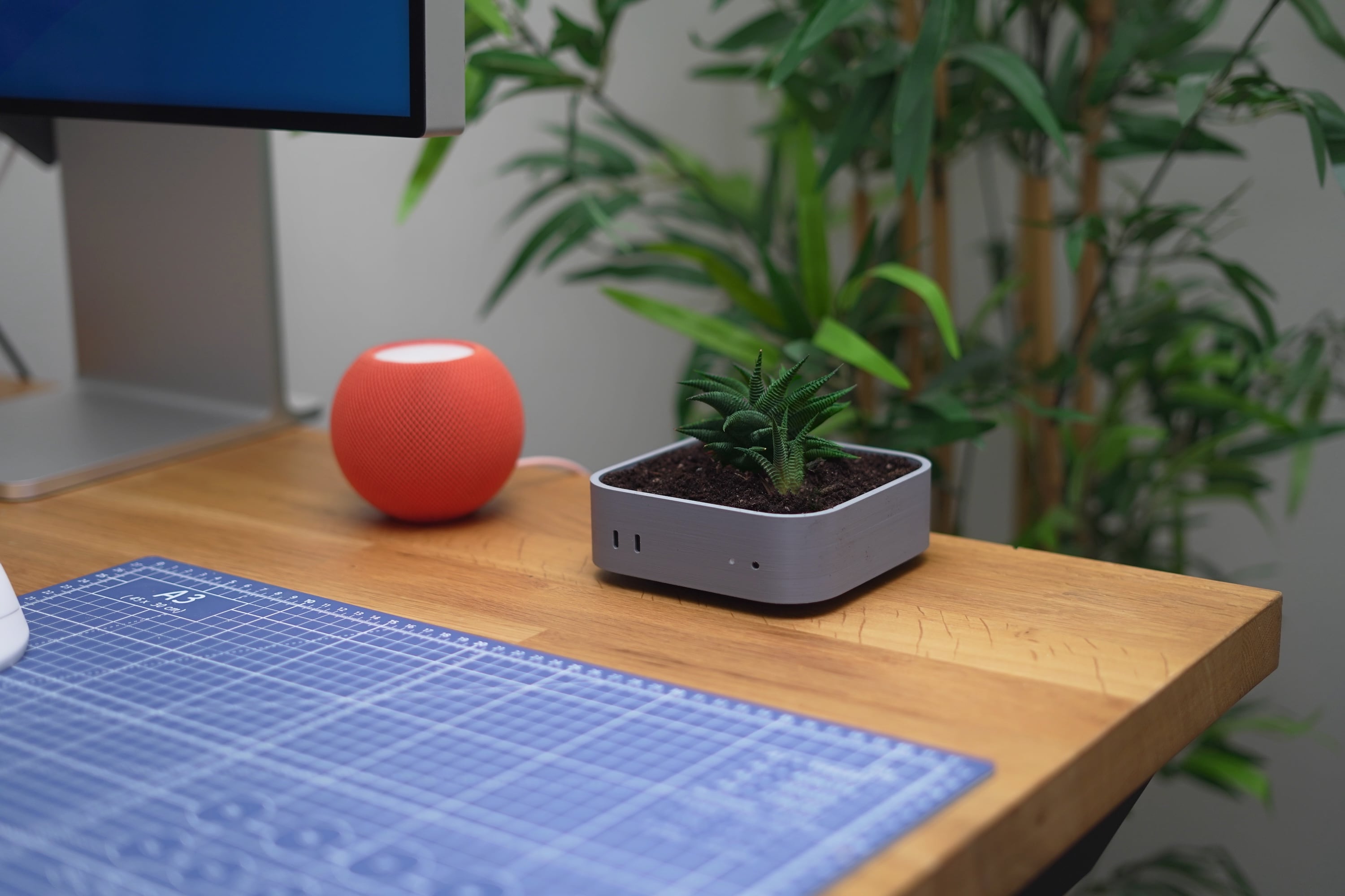 A 3D printed Mac mini plant pot with a Haworthia succulent inside