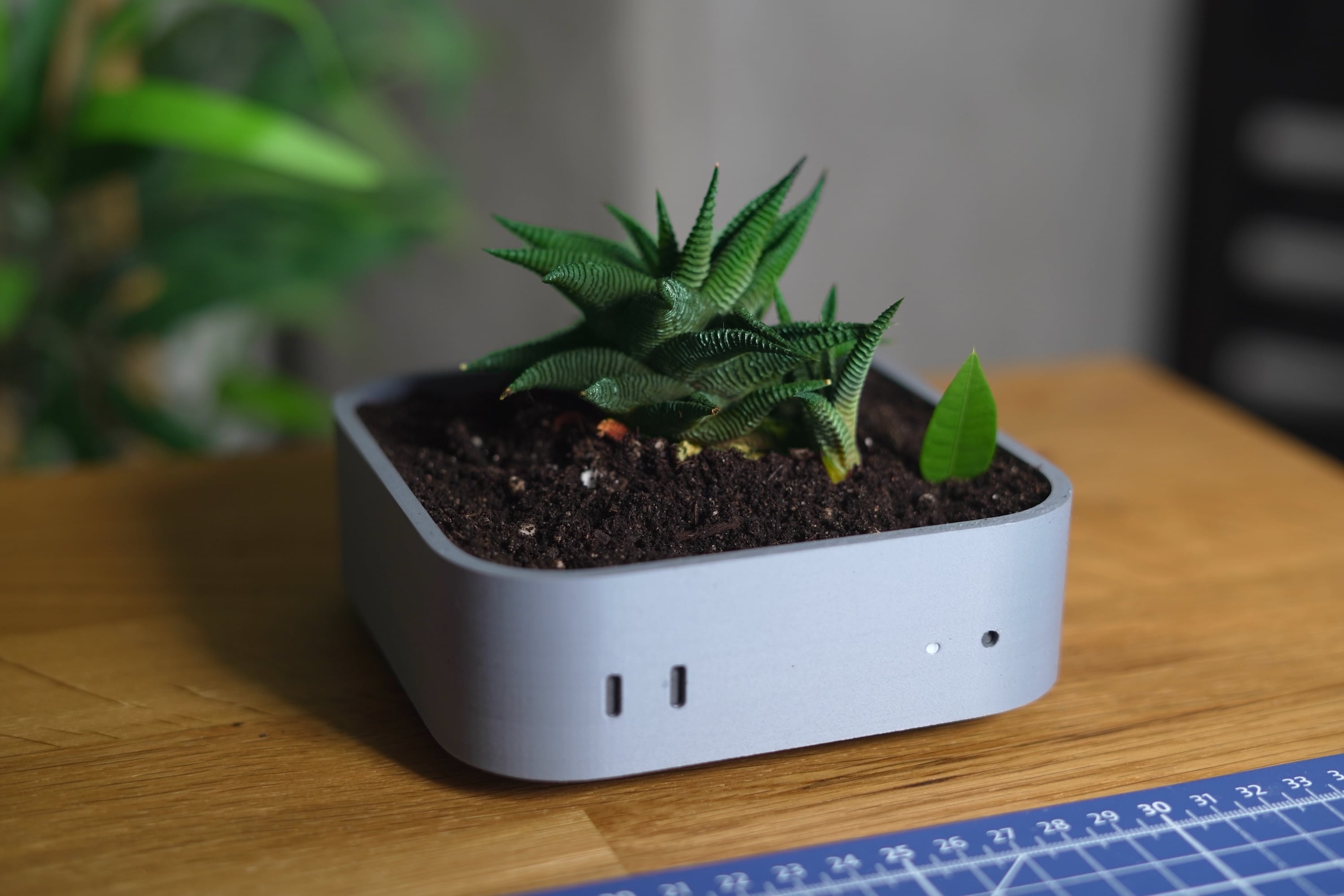 A close-up of a 3D printed Mac mini plant pot with a Haworthia succulent inside