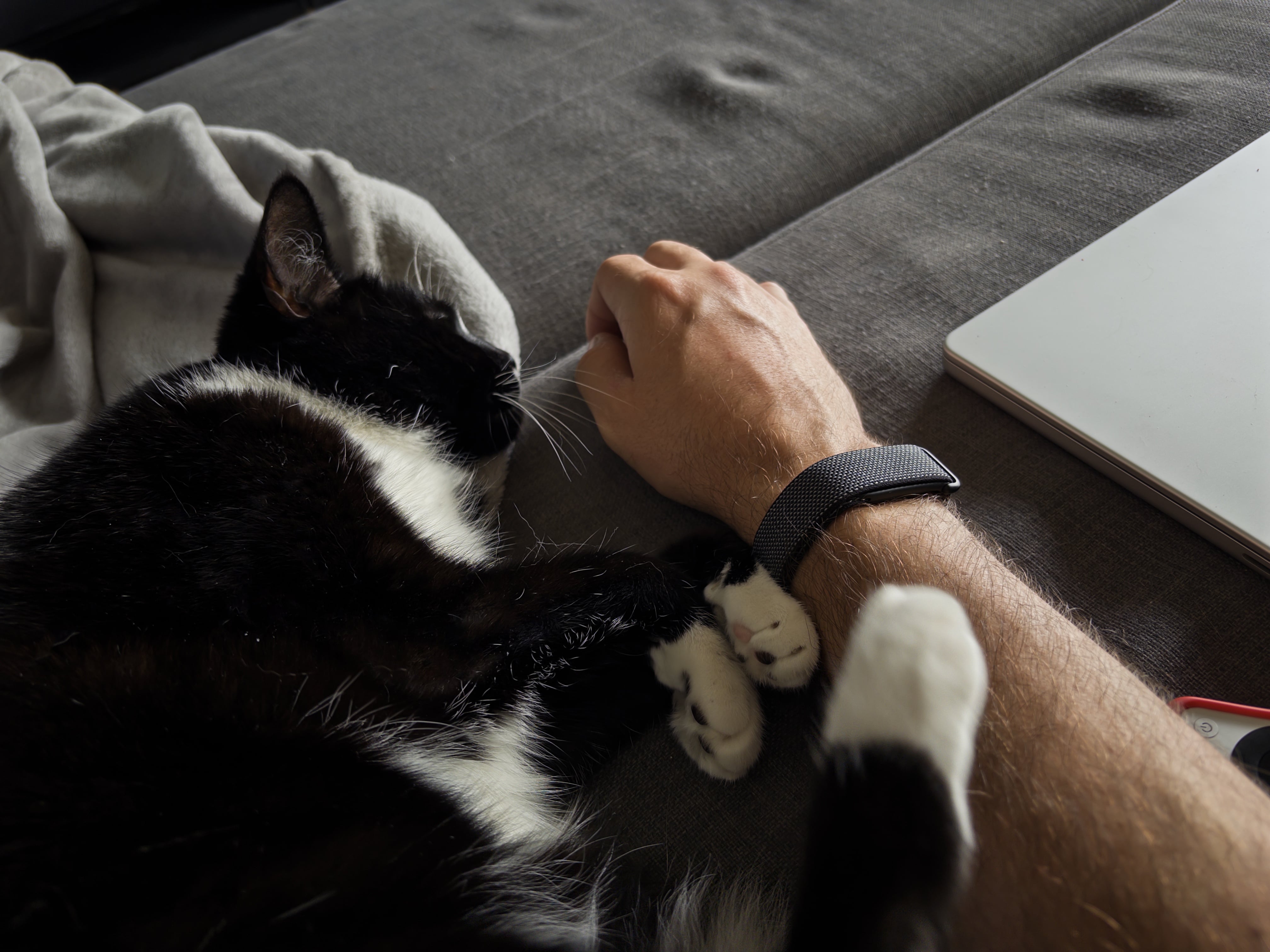My black cat lying beside me with my Fitbit Air visible